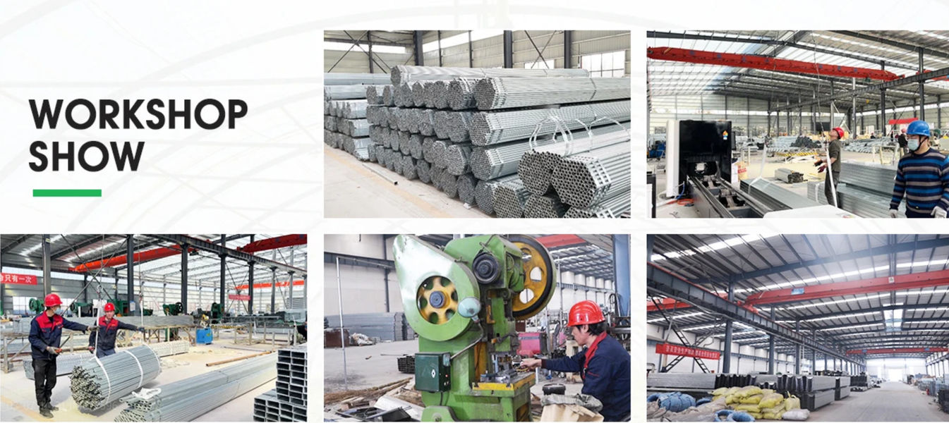 Shandong Lisent Agricultural Technology Co., Ltd. productielijn van de fabrikant
