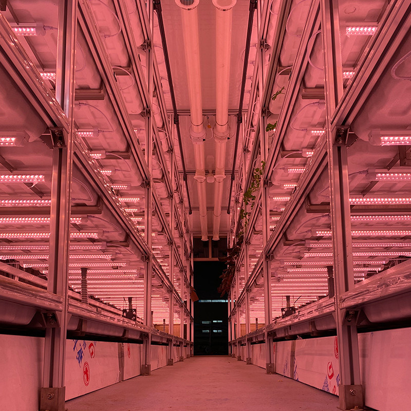 Ventilation Fan Greenhouse